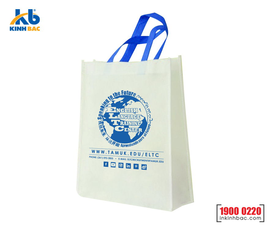 Túi hình hộp có hông - TVCH42 Túi hình hộp có hông - TVCH42
