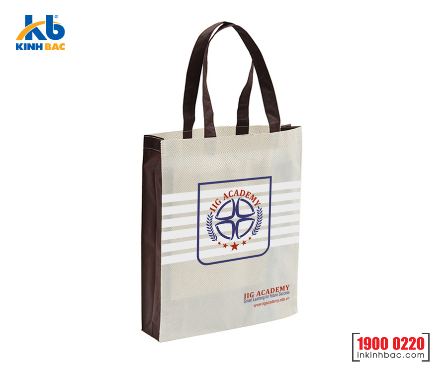 Túi hình hộp có hông - TVCH25